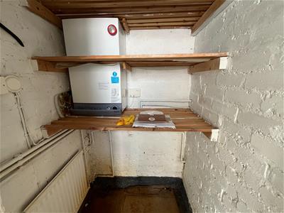 Picture 14